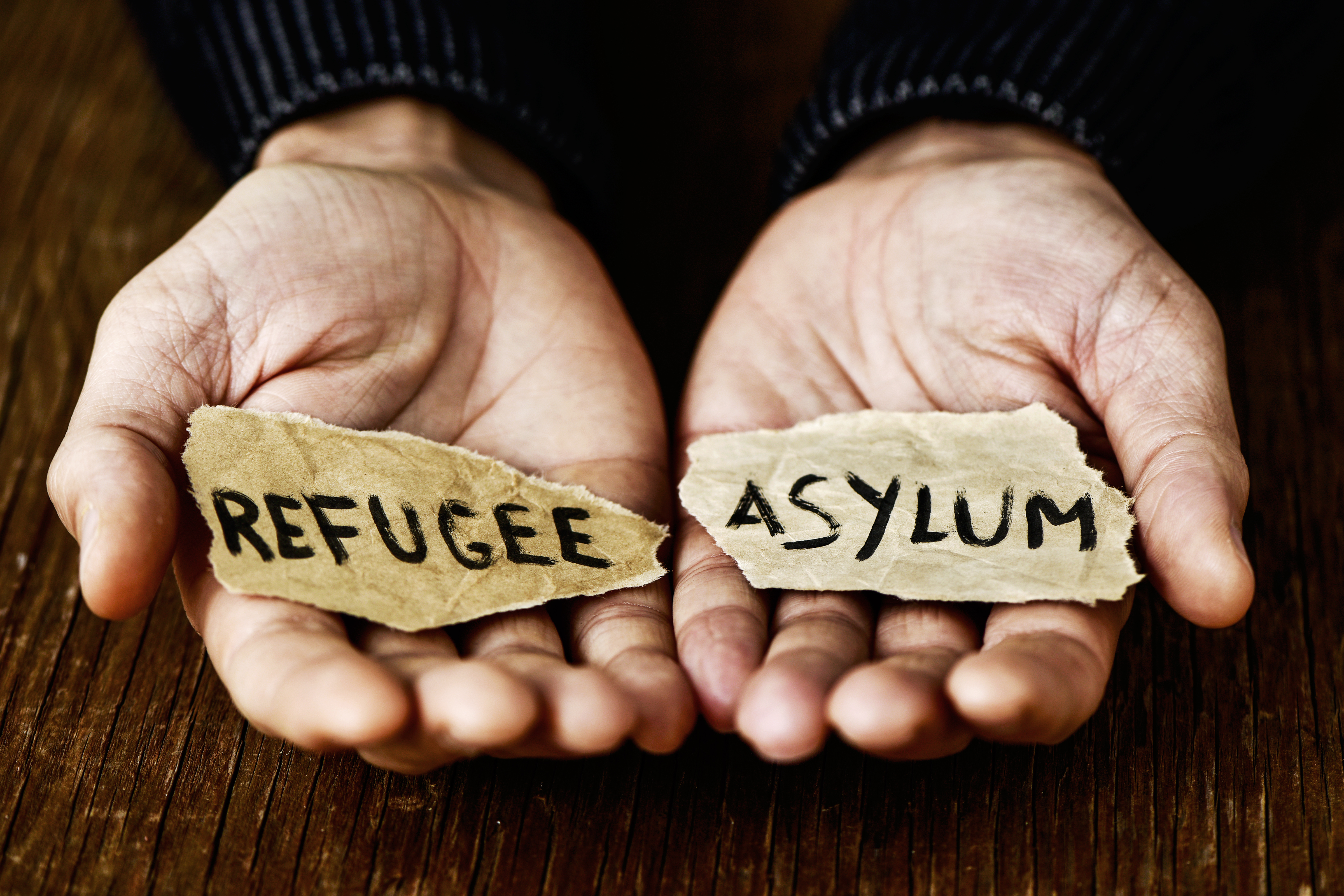 Asylum and Credible Fear Interim Final Rule
