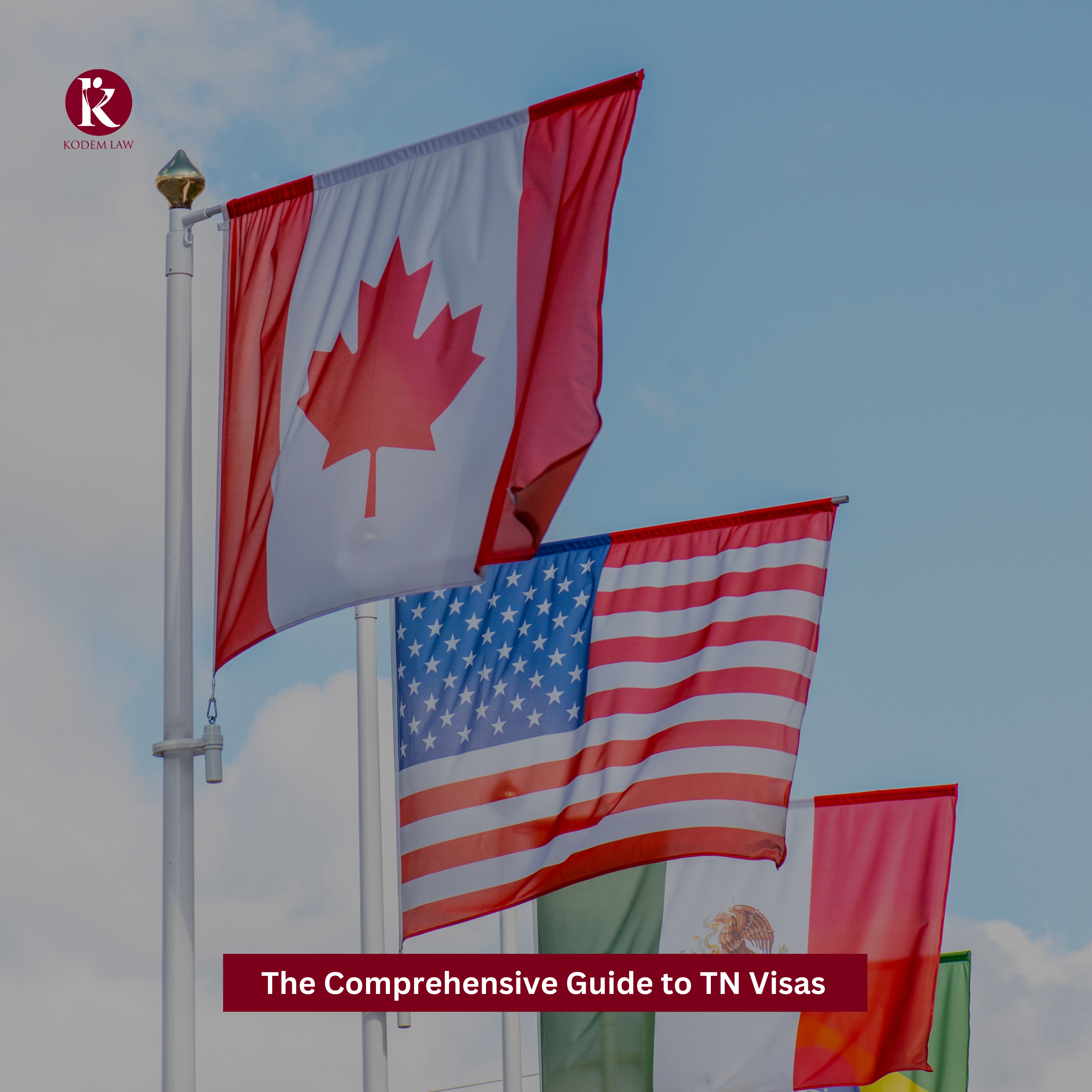 The Comprehensive Guide to TN Visas